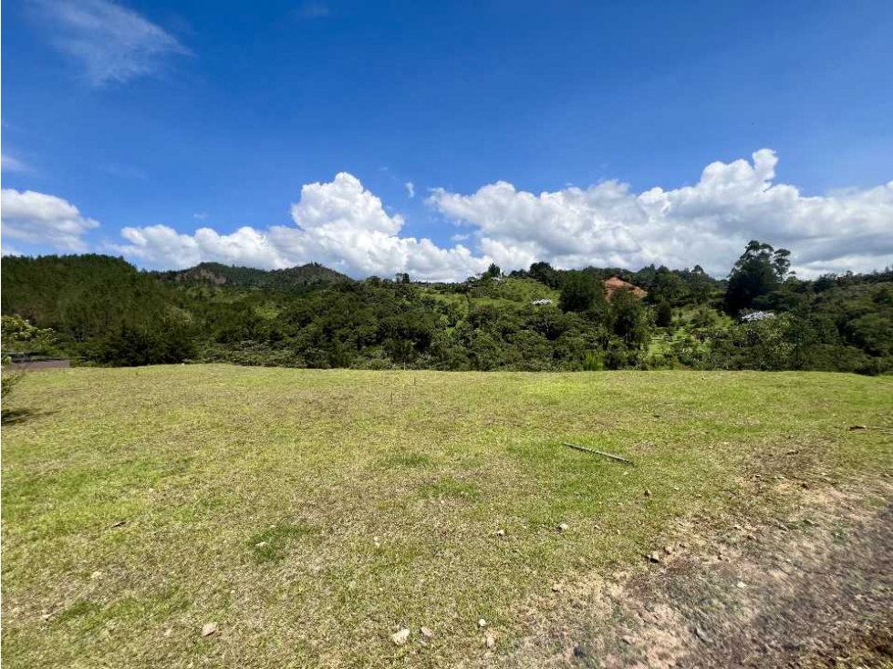 LOTE CAMPESTRE EN EL RETIRO