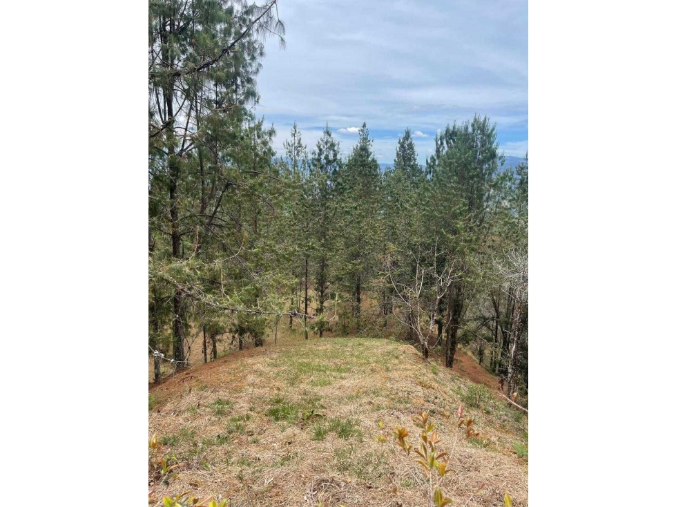 Hermoso Lote en Envigado - 1
