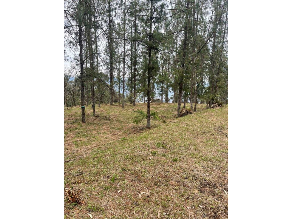 Hermoso Lote en Envigado - 2