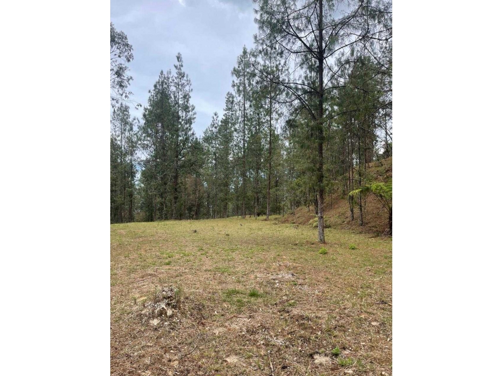 Hermoso Lote en Envigado - 3