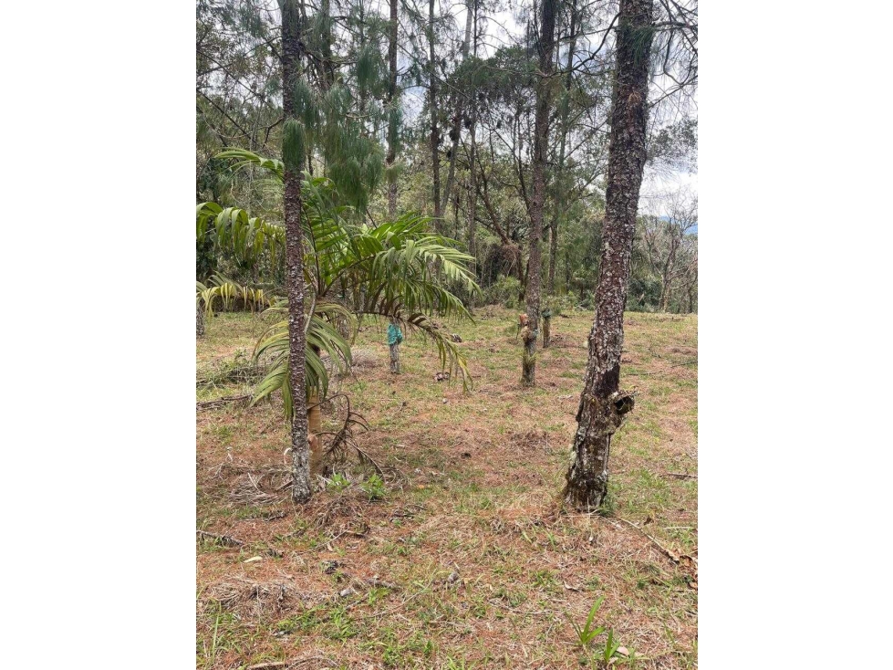 Hermoso Lote en Envigado - 4