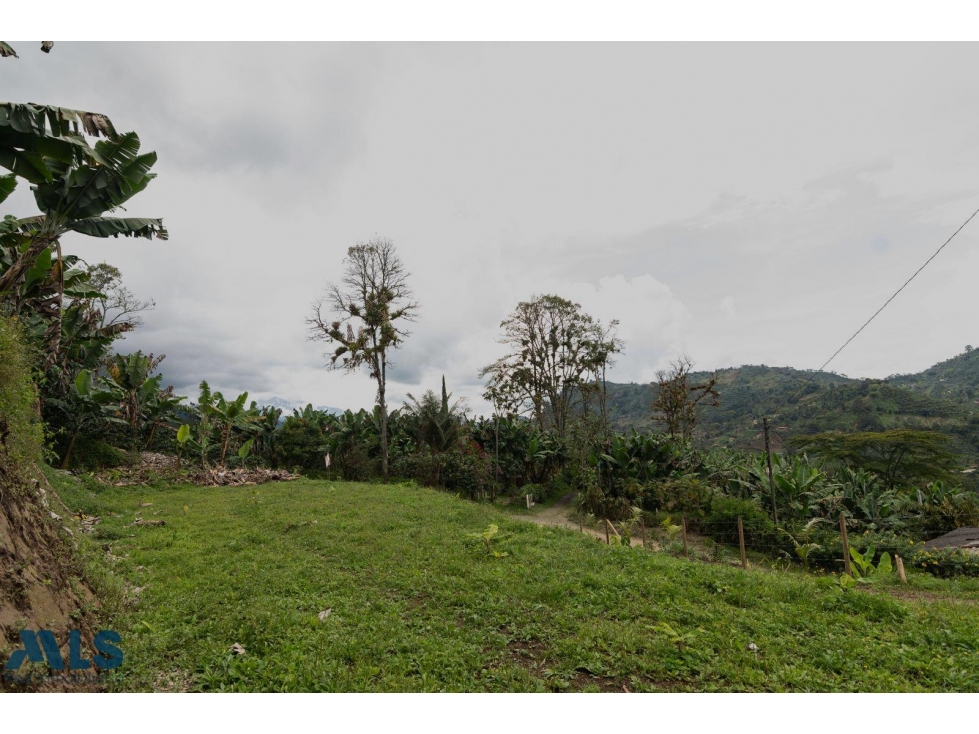 Hermoso lote en Jardín Antioquia(MLS#257169) - 2