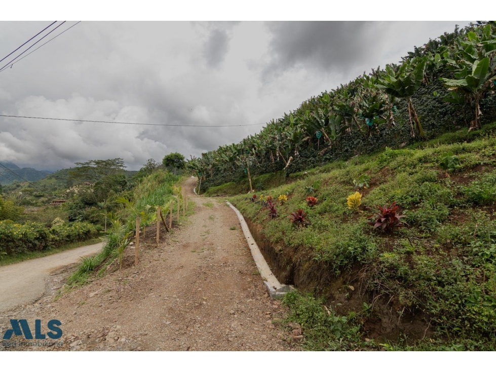 Hermoso lote en Jardín Antioquia(MLS#257169) - 3