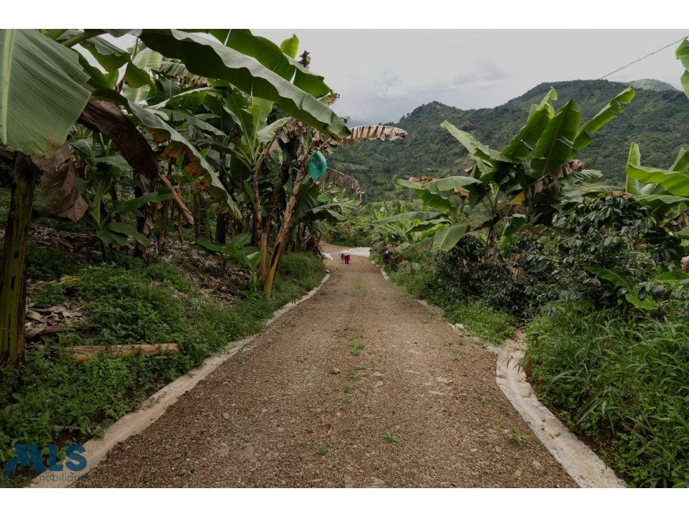 Hermoso lote en Jardín Antioquia(MLS#257169) - 4