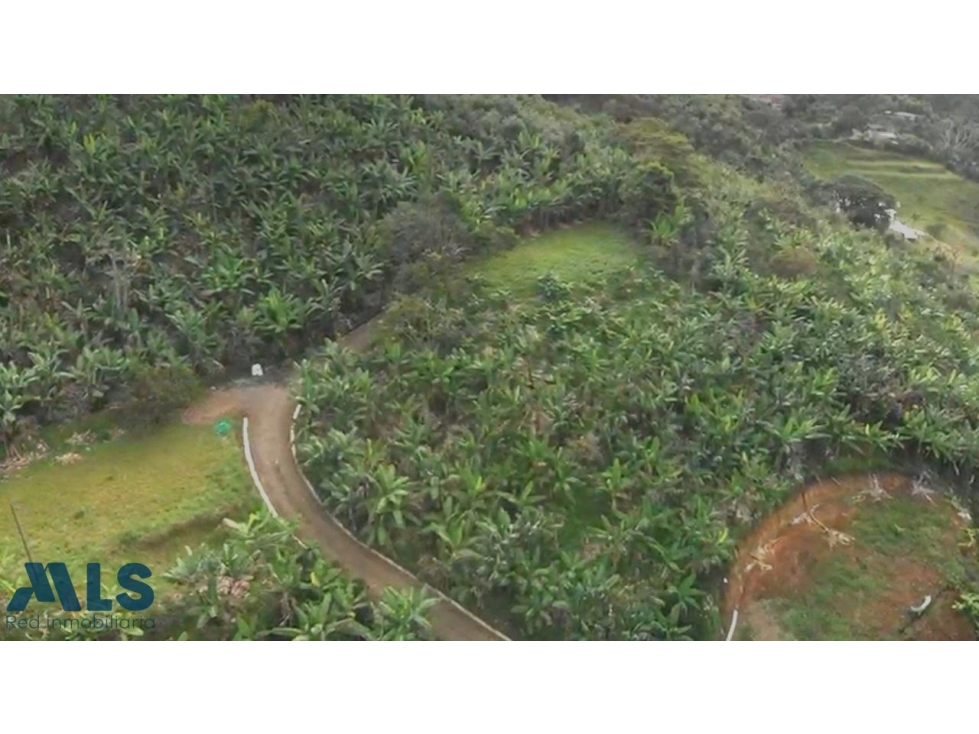 Hermoso lote en Jardín Antioquia(MLS#257169) - 6