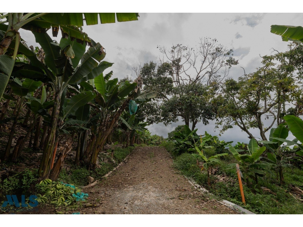 Hermoso lote en Jardín Antioquia(MLS#257222) - 1