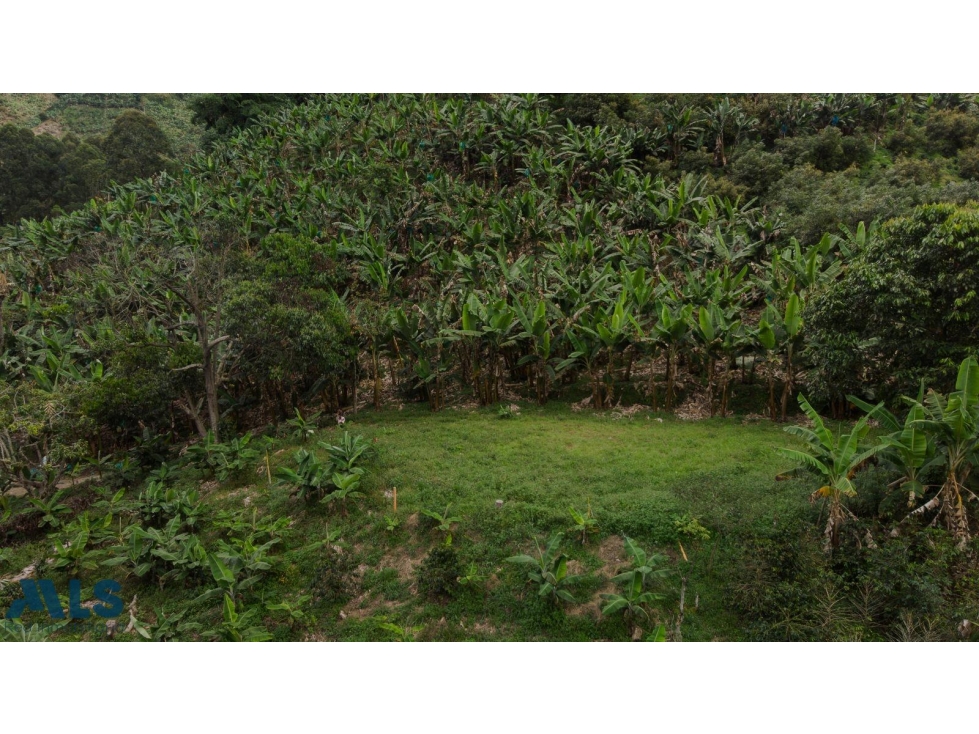 Hermoso lote en Jardín Antioquia(MLS#257222) - 3