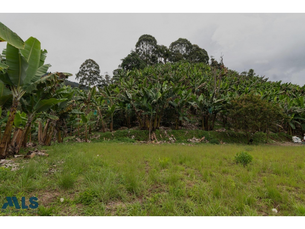 Hermoso lote en Jardín Antioquia(MLS#257222) - 4
