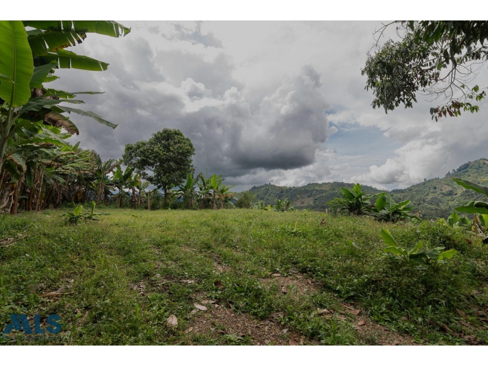 Hermoso lote en Jardín Antioquia(MLS#257222) - 5