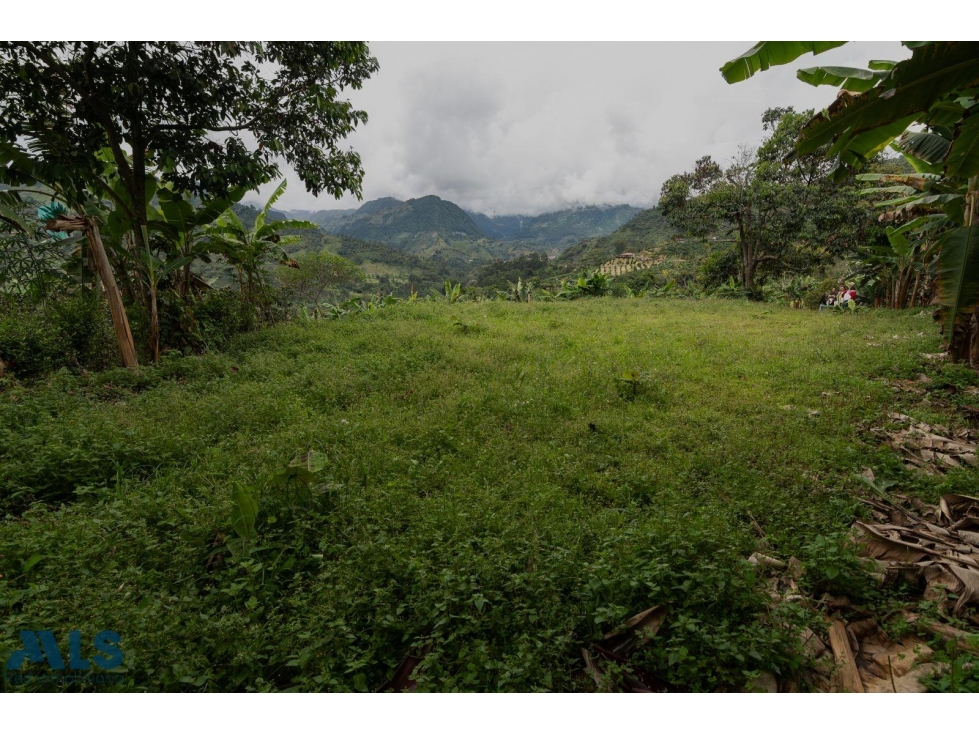 Hermoso lote en Jardín Antioquia(MLS#257222) - 6