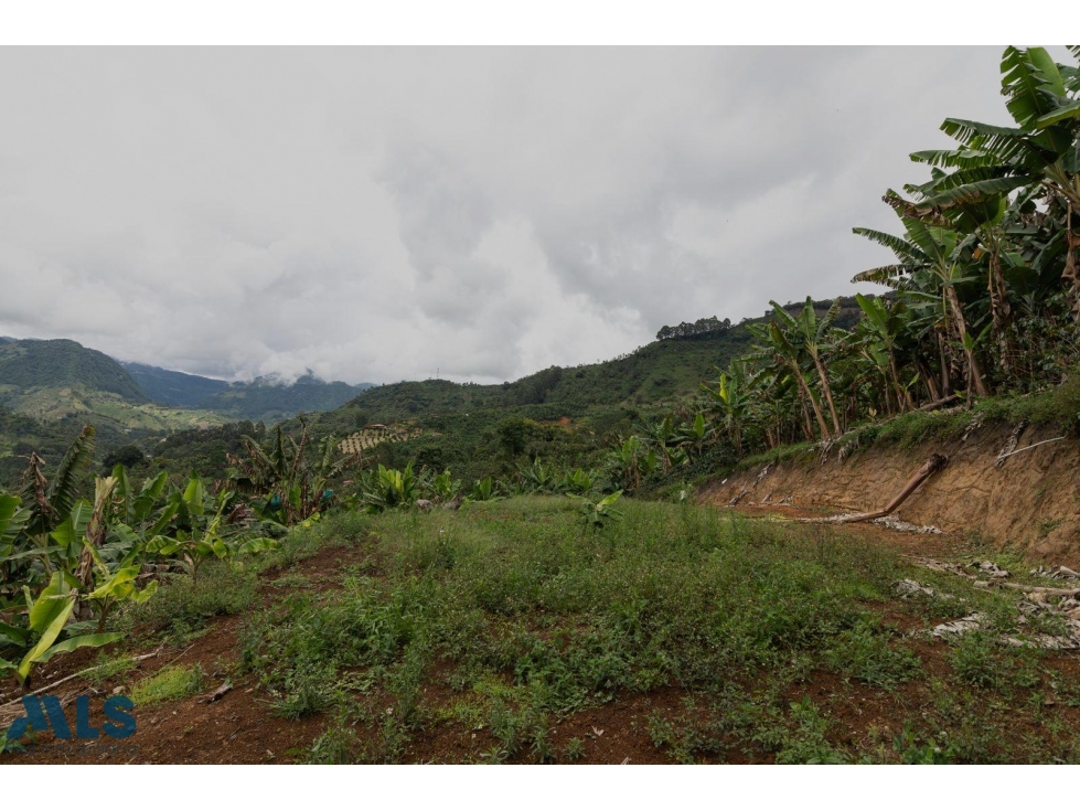 Hermoso lote en Jardín Antioquia(MLS#257220) - 1