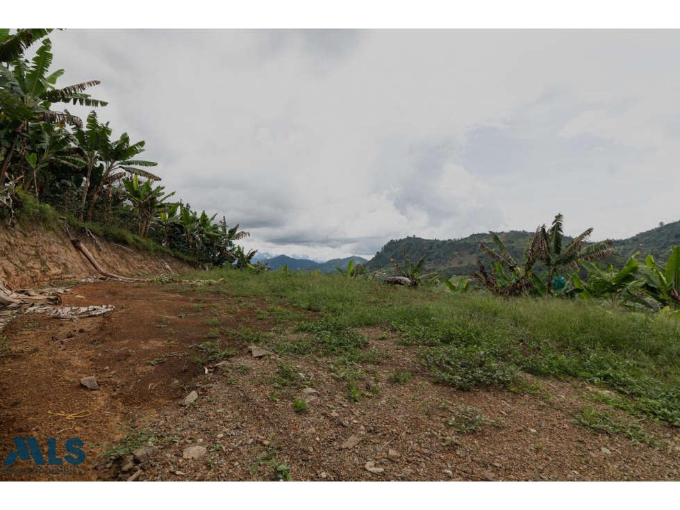Hermoso lote en Jardín Antioquia(MLS#257220) - 2