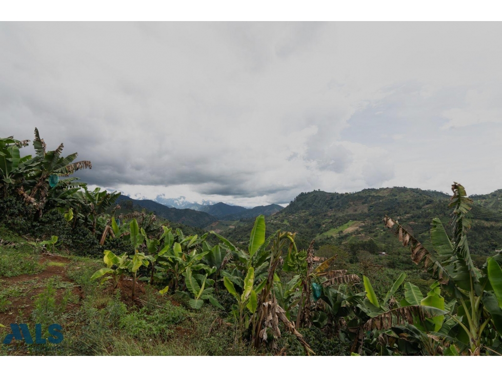 Hermoso lote en Jardín Antioquia(MLS#257220) - 3
