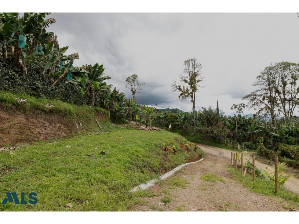 Hermoso lote en Jardín Antioquia(MLS#257220) - 6