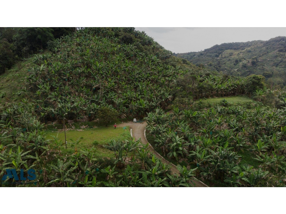 Hermoso lote en Jardín Ant(MLS#257167) - 1