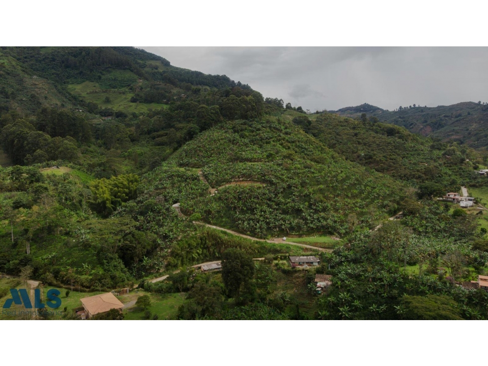 Hermoso lote en Jardín Ant(MLS#257167) - 4