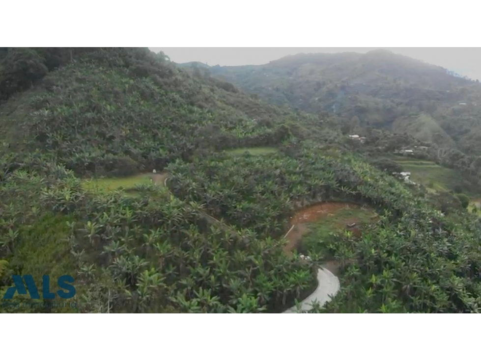 Hermoso lote en Jardín Ant(MLS#257167) - 5