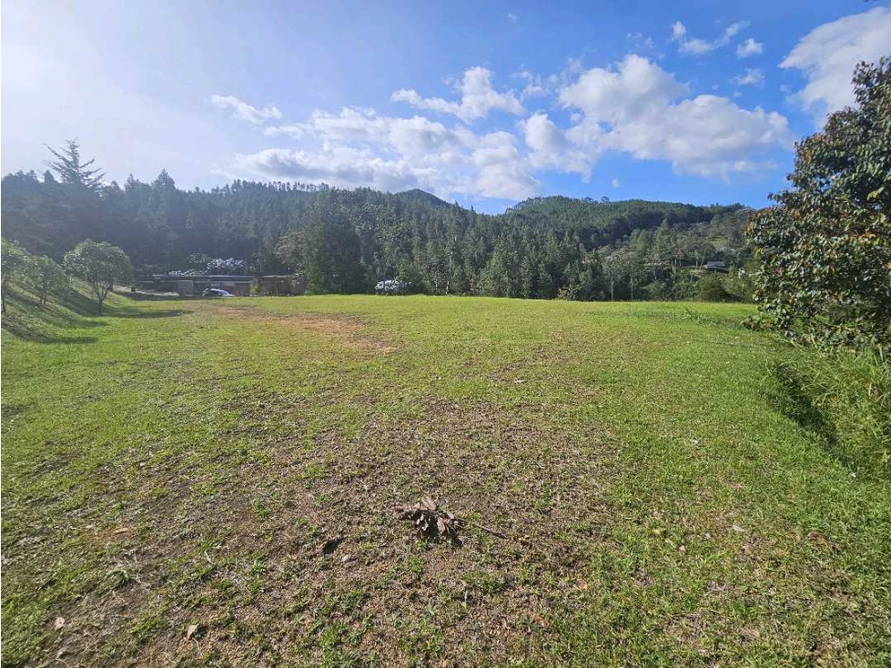 HERMOSO LOTE EN JUANITO LAGUNA