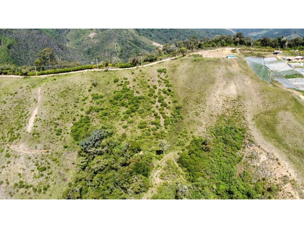 Hermoso lote en La Guija 5 km de El Retiro — foto 3