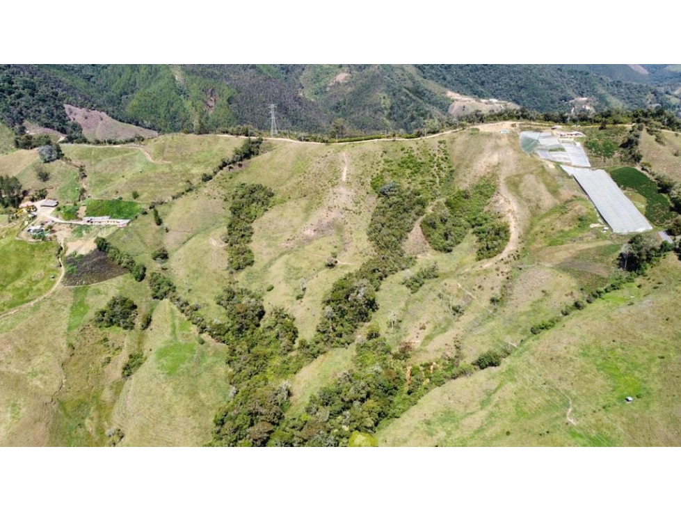 Hermoso lote en La Guija 5 km de El Retiro — foto 4