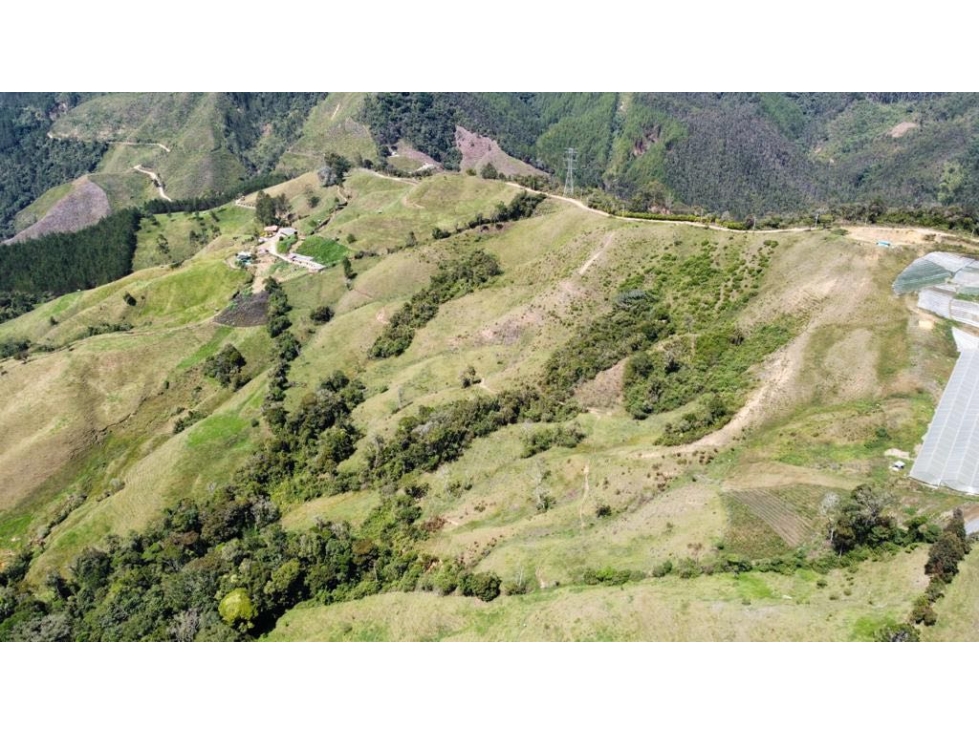 Hermoso lote en La Guija 5 km de El Retiro — foto 5