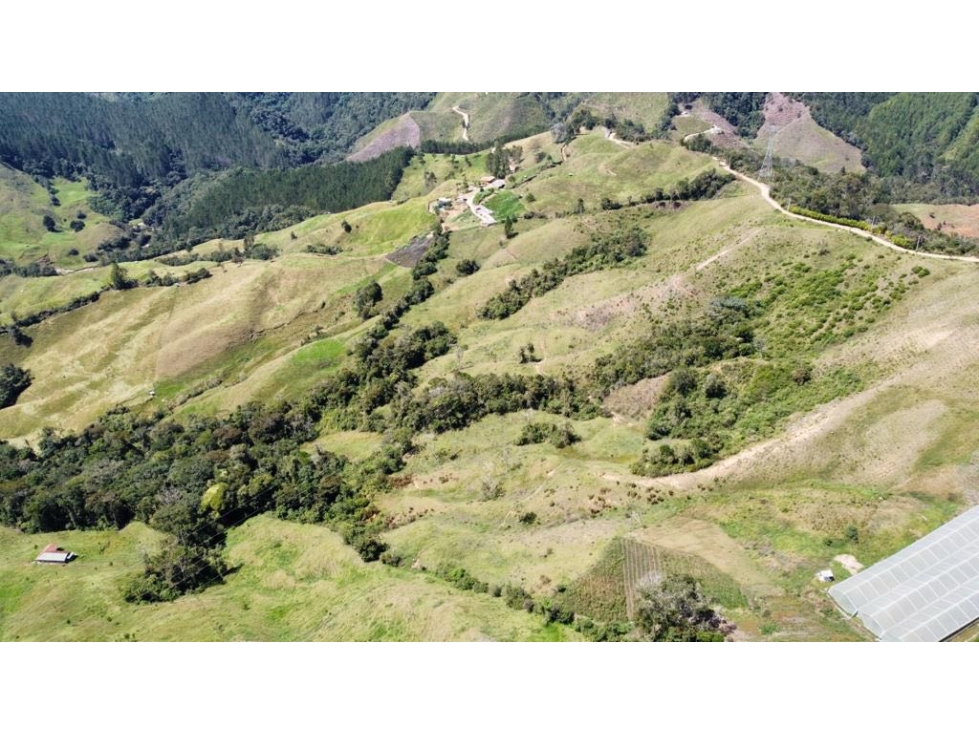 Hermoso lote en La Guija 5 km de El Retiro — foto 6