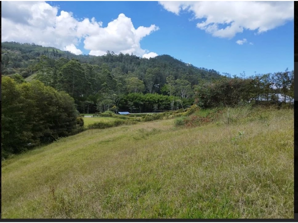 Hermoso lote en Llanogrande don diego — foto 4