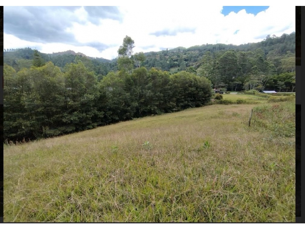 Hermoso lote en Llanogrande don diego — foto 5