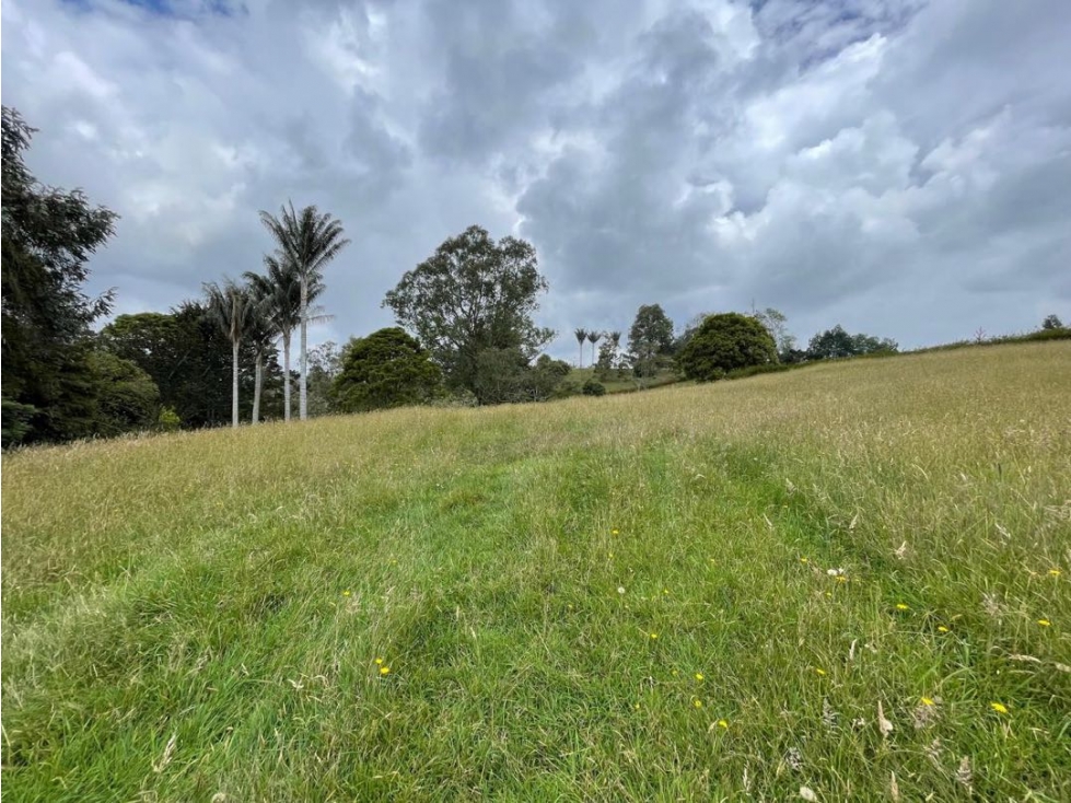 Venta de Hermoso Lote En Parcelación. Alto de Palmas — foto 2