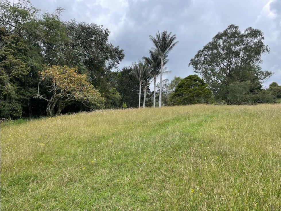 Venta de Hermoso Lote En Parcelación. Alto de Palmas — foto 3