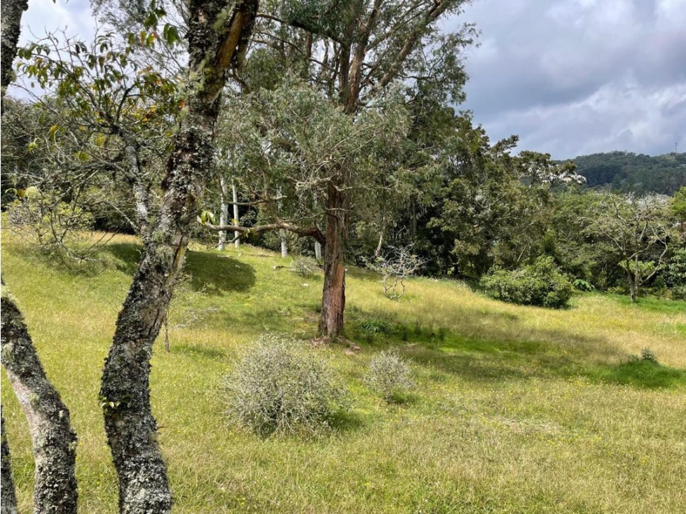 Venta de Hermoso Lote En Parcelación. Alto de Palmas — foto 4