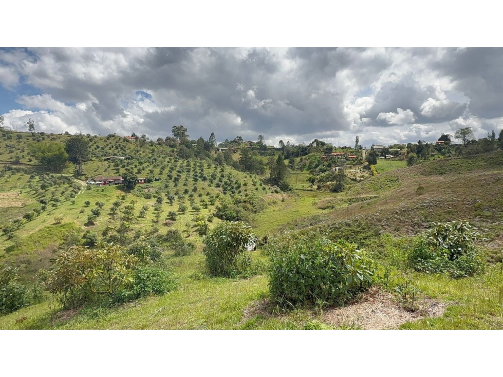 Hermoso lote en Rionegro vía San Vicente sector La Primavera