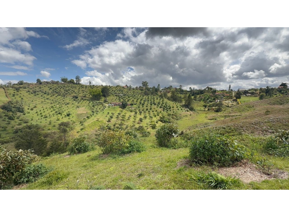 Hermoso lote en Rionegro vía San Vicente sector La Primavera — foto 2