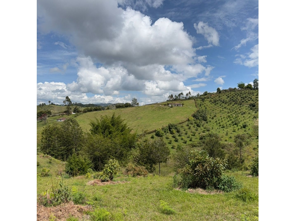 Hermoso lote en Rionegro vía San Vicente sector La Primavera — foto 3