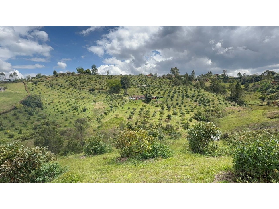 Hermoso lote en Rionegro vía San Vicente sector La Primavera — foto 4