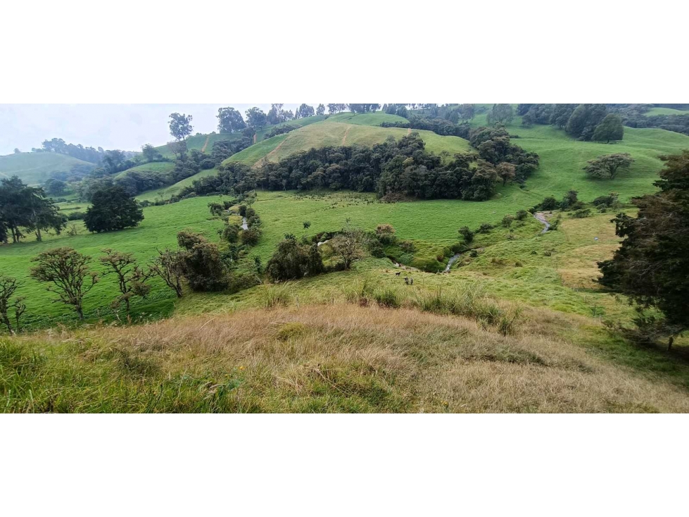 Oportunidad! Hermoso Lote en San Félix vía San Pedro. Precio especial — foto 6