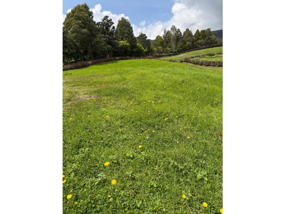 HERMOSO LOTE EN SONSON. PARCELACIÓN LA PROVINCIA - 4