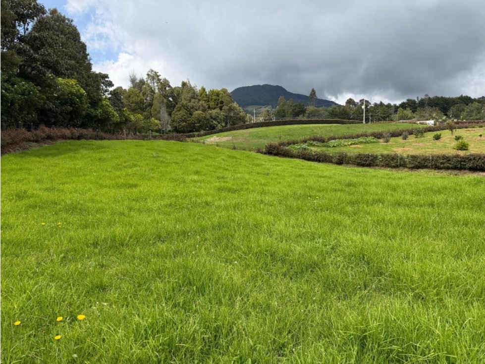 HERMOSO LOTE EN SONSON. PARCELACIÓN LA PROVINCIA - 5