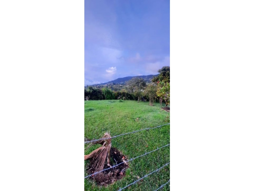 HERMOSO LOTE EN VENTA CON EXCELENTE UBICACIÓN EN EL CARMEN DE VÍBORAL