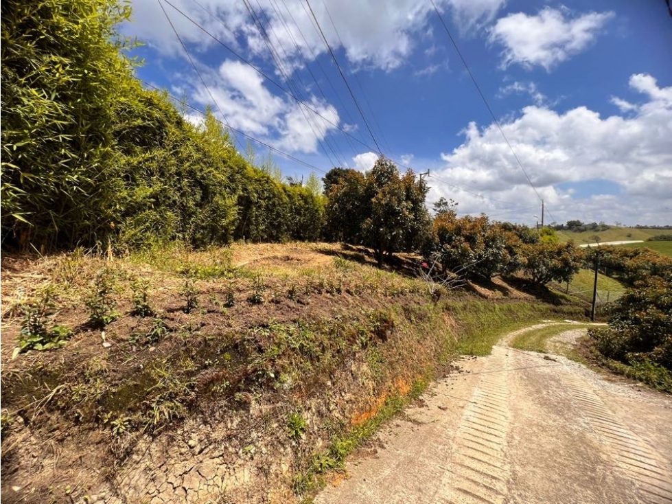 HERMOSO LOTE EN VENTA EL CARMEN DE VIBORAL CON EXCELENTE UBICACIÓN — foto 6