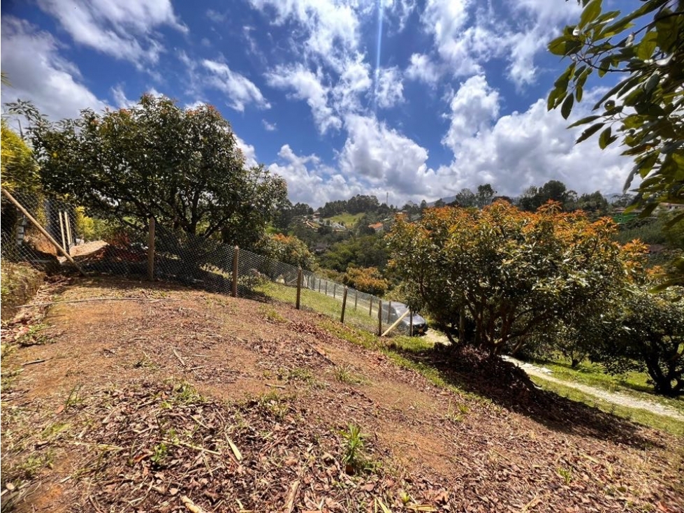 HERMOSO LOTE EN VENTA EL CARMEN DE VIBORAL CON EXCELENTE UBICACIÓN — foto 4