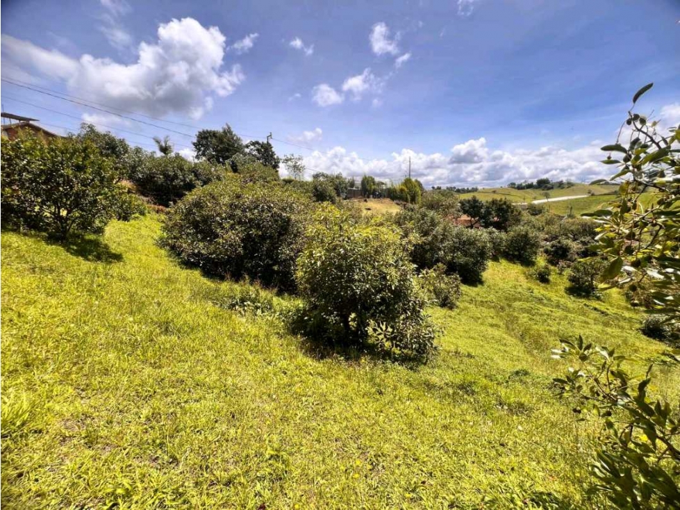 HERMOSO LOTE EN VENTA EL CARMEN DE VIBORAL CON EXCELENTE UBICACIÓN