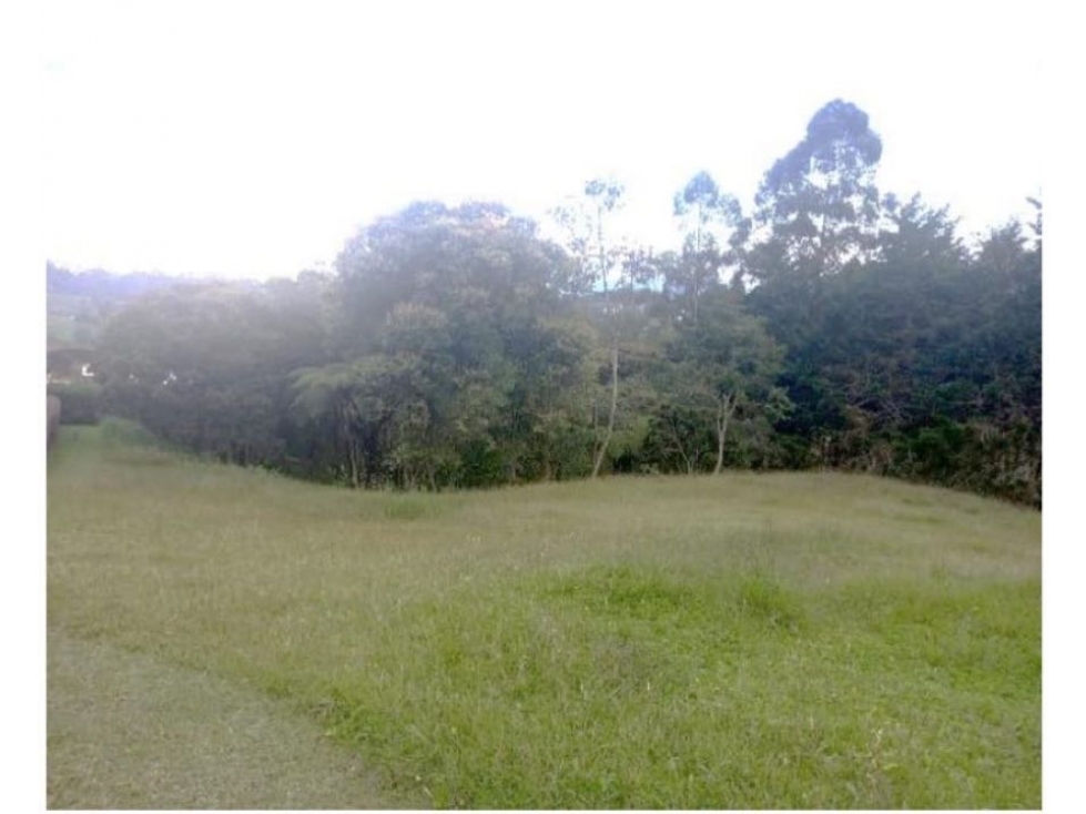 HERMOSO LOTE EN VENTA EN EXCLUSIVA PARCELACIÓN SOBRE A LA VÍA LA CEJA — foto 3