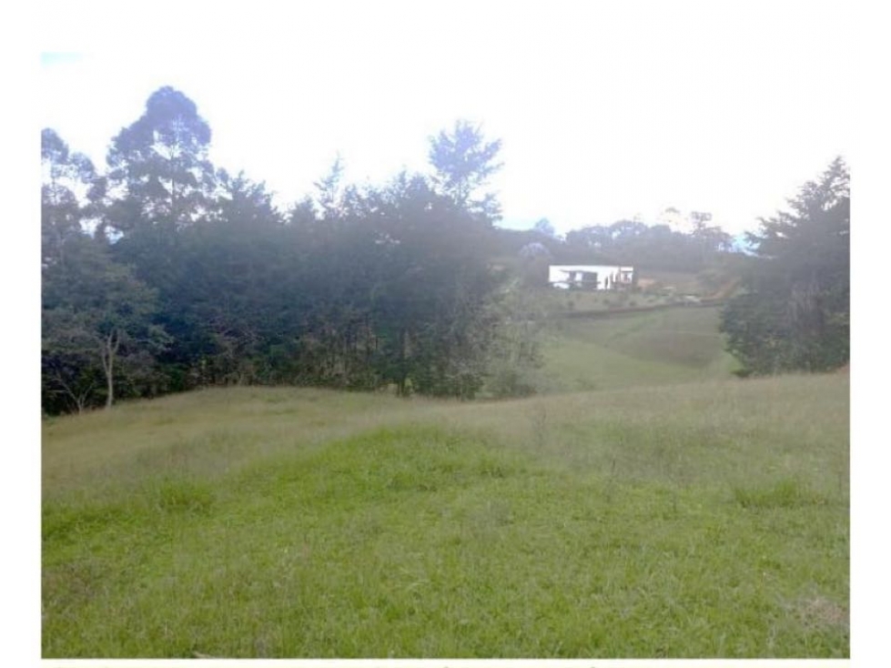 HERMOSO LOTE EN VENTA EN EXCLUSIVA PARCELACIÓN SOBRE A LA VÍA LA CEJA — foto 4