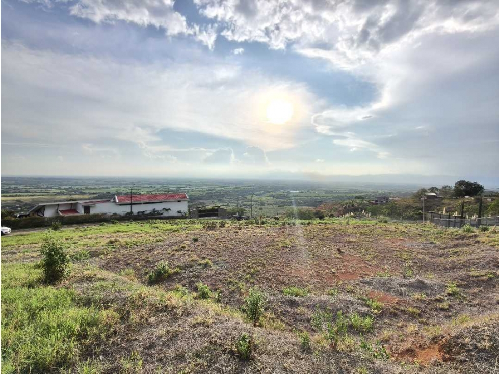 Hermoso lote en venta. La Romelia — foto 5