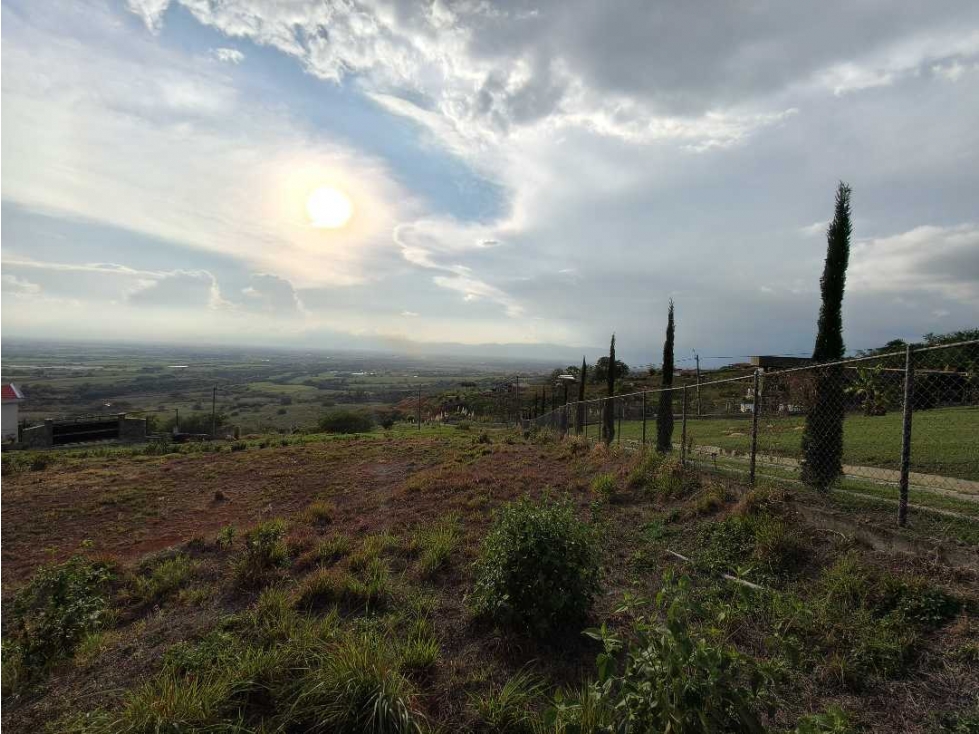 Hermoso lote en venta. La Romelia — foto 6