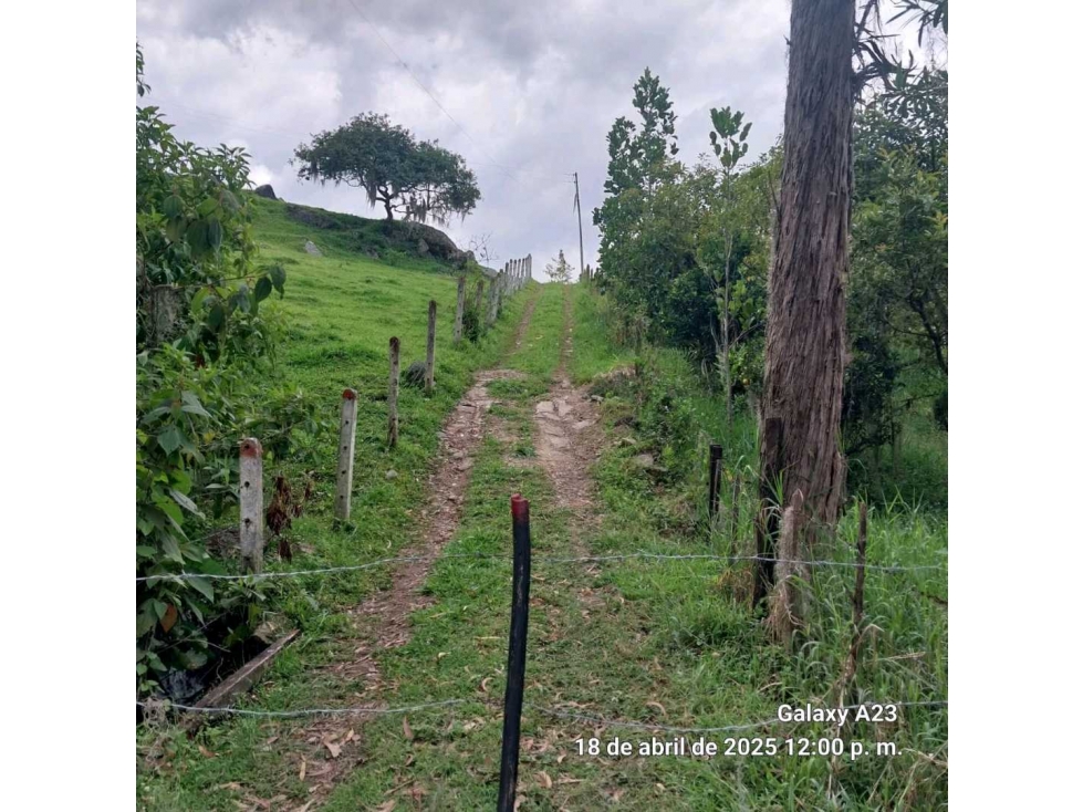 HERMOSO LOTE EN VENTA CON AGUA LUZ Y GAS NATURAL PACHO C/MARCA - 3