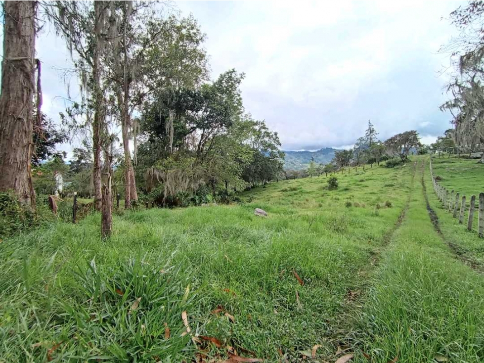 HERMOSO LOTE EN VENTA CON AGUA LUZ Y GAS NATURAL PACHO C/MARCA - 5