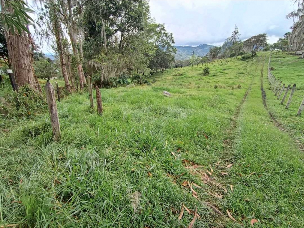 HERMOSO LOTE EN VENTA CON AGUA LUZ Y GAS NATURAL PACHO C/MARCA - 2