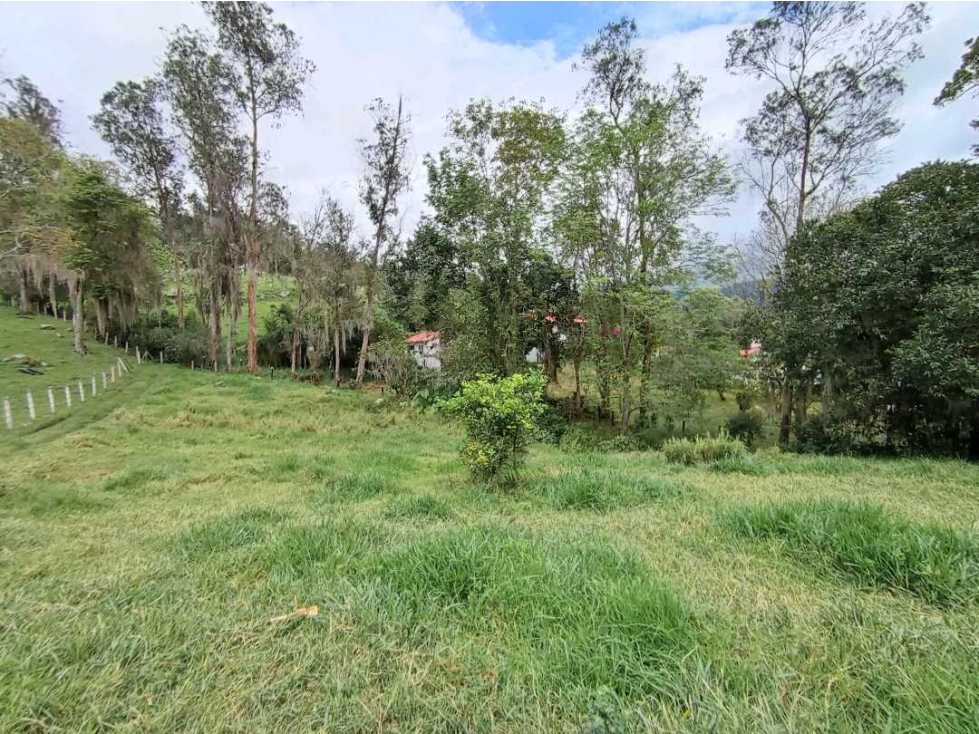 HERMOSO LOTE EN VENTA CON AGUA LUZ Y GAS NATURAL PACHO C/MARCA - 6